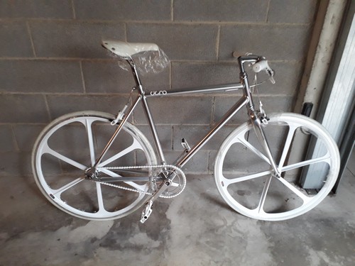 Bicicletta Cigno Veloce
